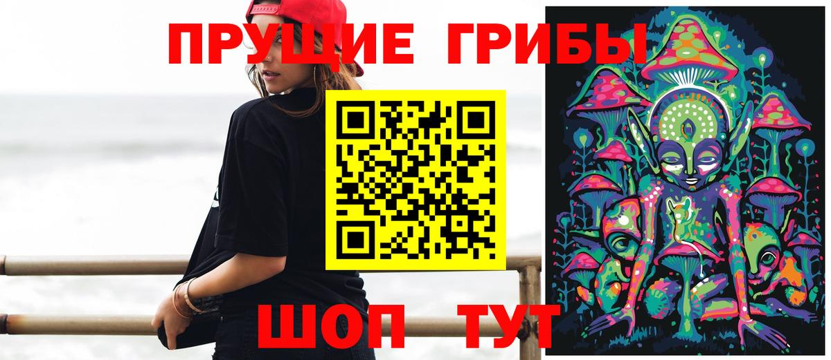 Шелехов  Псилоцибиновые грибы прущие грибы  Вход с VPN 