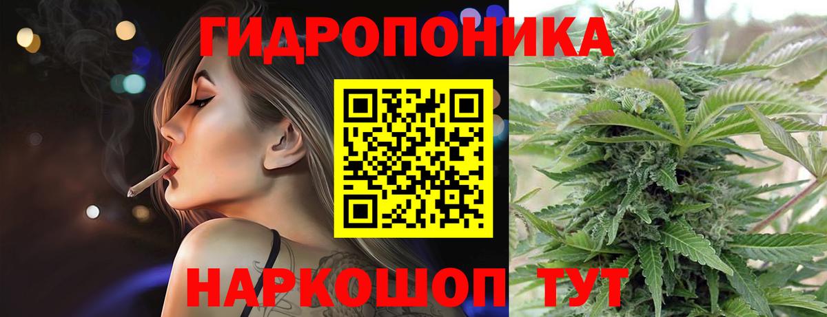 Каннабис Bruce Banner  Бошки марихуана SATIVA & INDICA  Марихуана VHQ  Шелехов  Бошки Шишки MAZAR  Вход с VPN 